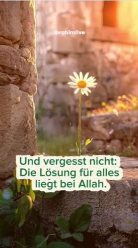 Vergiss es nicht: Die Lösung liegt bei Allah!
