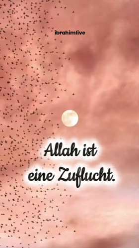 Dein Herz ist schwer? Geh zu Ihm!