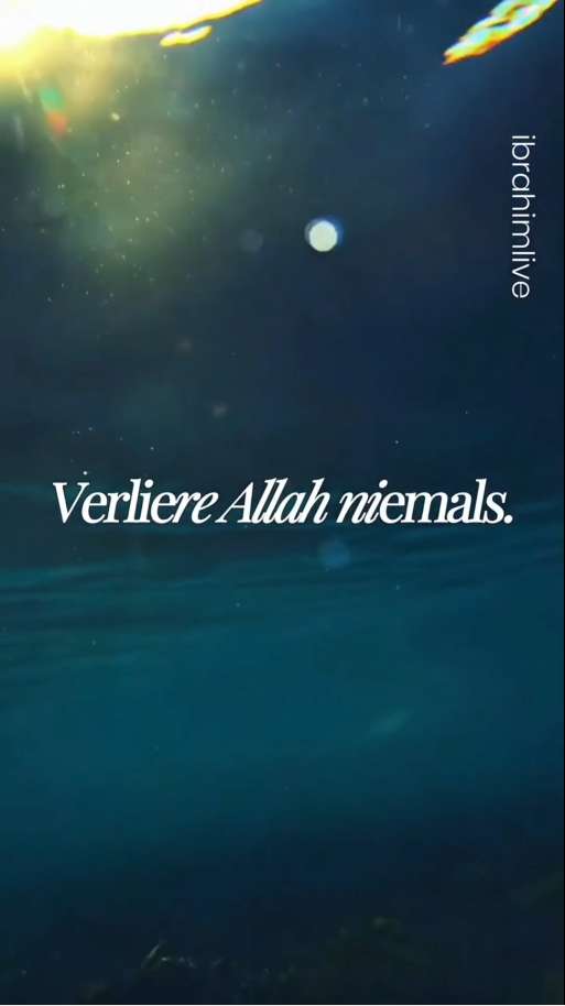 Verliere alles, aber verliere NIEMALS Allah!