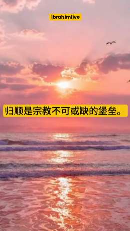一座坚固的古老堡垒内绽放出一朵象征着爱的柔和光芒之花
