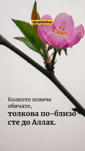Обичайте, за да бъдете по-близо до Аллах.