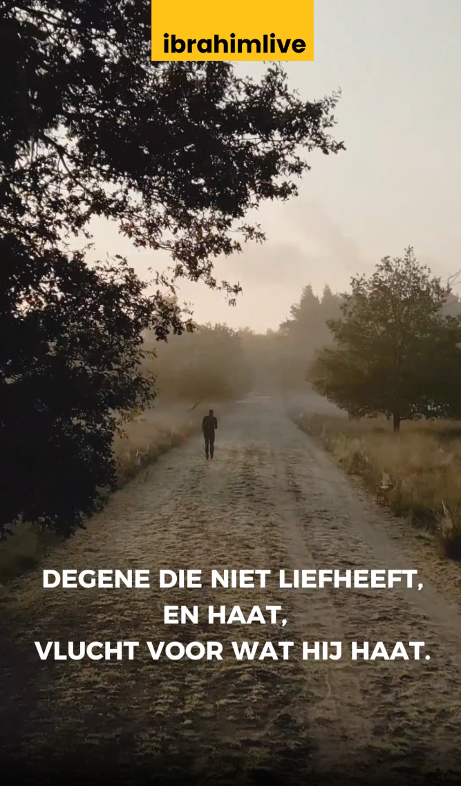 Ware liefde rent, haat vlucht