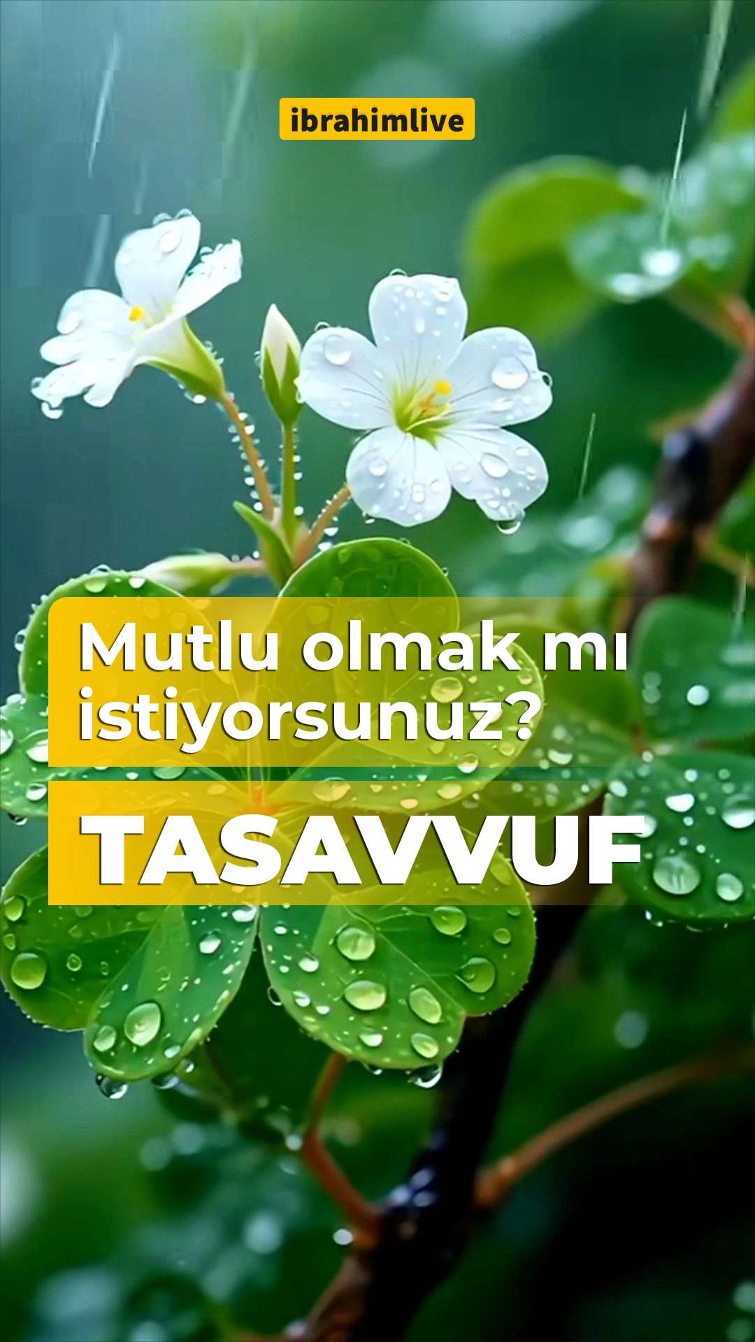 Tasavvuf yoluyla iç huzura ve Allah sevgisine ulaşan mutlu bir insan.