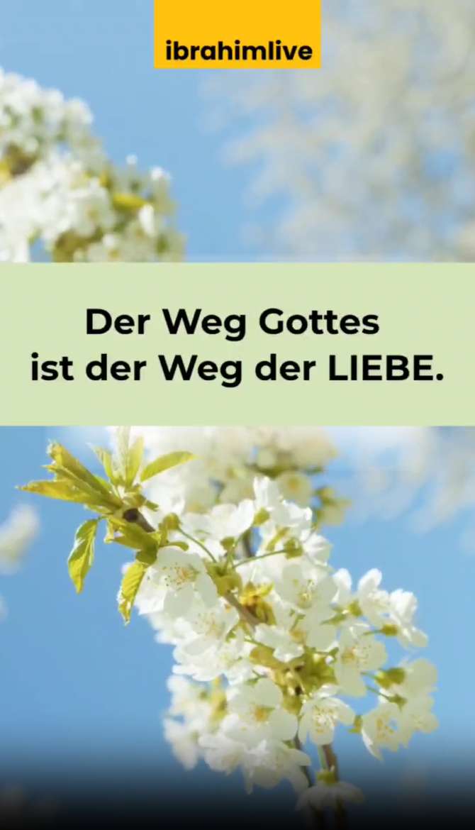 Gottes Weg ist der Weg der Liebe