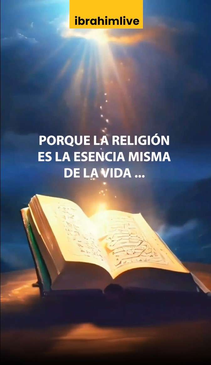 Cambié odio por amor con el Islam